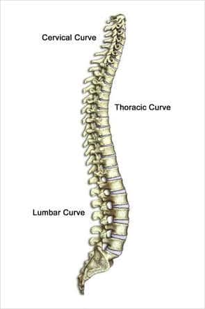 Spinal Curve Correction: How To Do Spinal Curve Correction WITHOUT Surgery